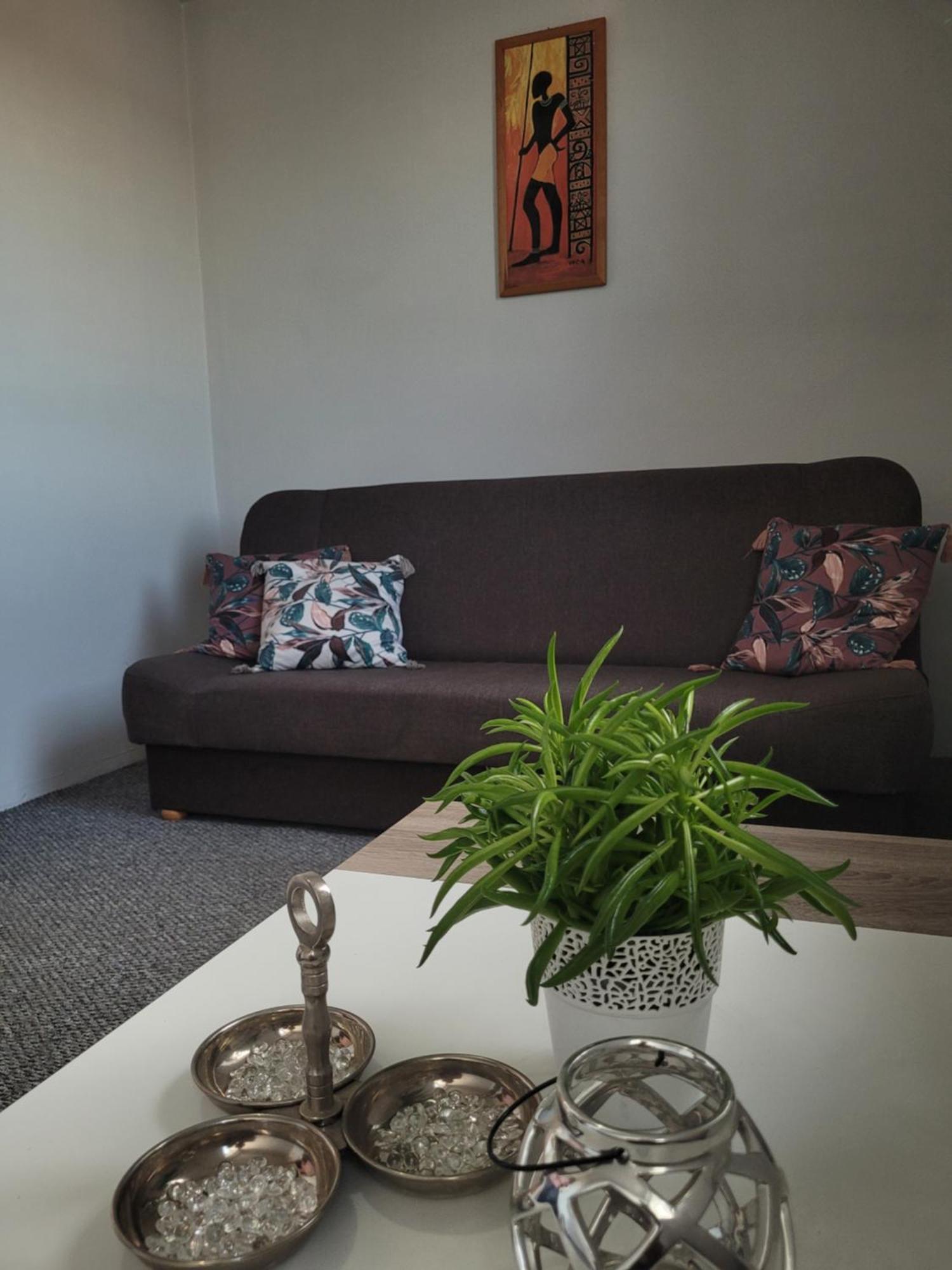 Apartament Zdunska Włocławek Eksteriør bilde