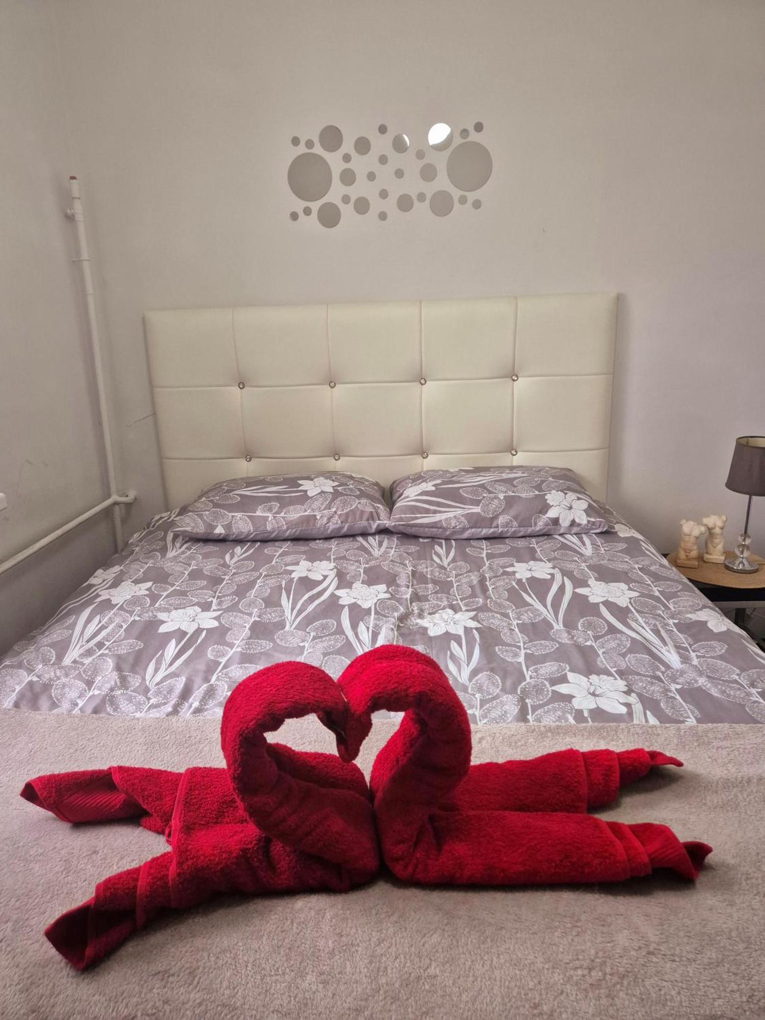Apartament Zdunska Włocławek Eksteriør bilde